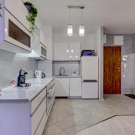 Silver Apartment Szczecin